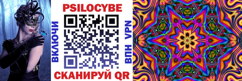 купить  сайты  Ясногорск  Псилоцибиновые грибы GOLDEN TEACHER 